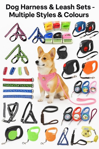 Pets dog leash - dog, set