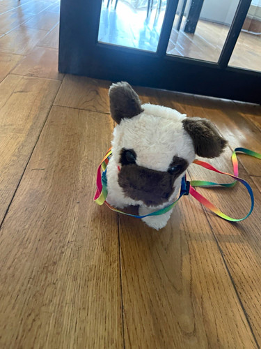 Small plush dog - small,