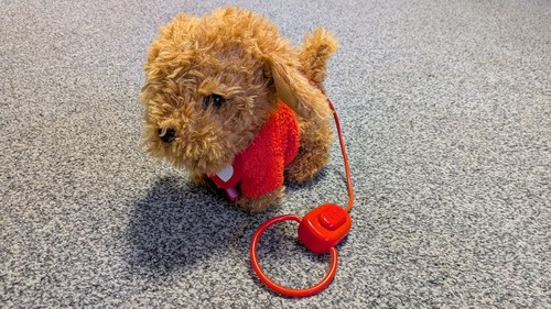 Waffle the wonder dog - waffle,