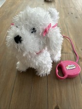 Fluffy Puppies Walking Barking